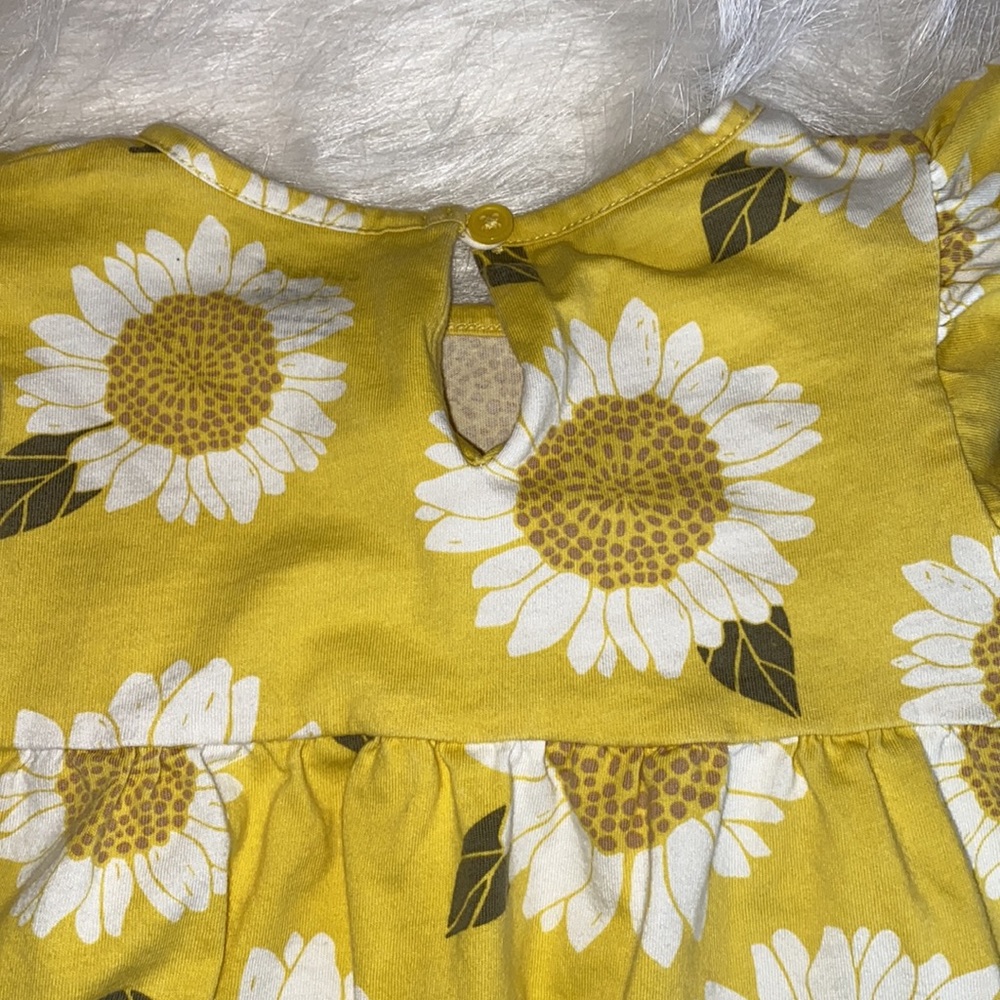 Sunflower Set - Picture 6 of 6